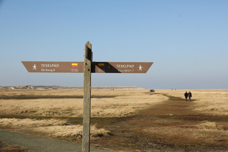View from property 5, Lovely villa on the edge of the forest, Texel