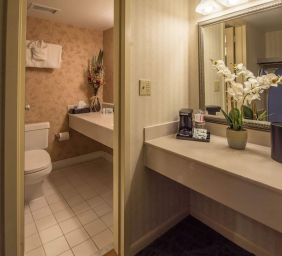 Bathroom, Lakeview Golf Resort Townhouses, Monongalia