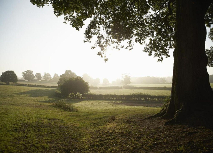 View from property 3, Barn in Cotswolds Near Bourton-on-the-water, Gloucestershire