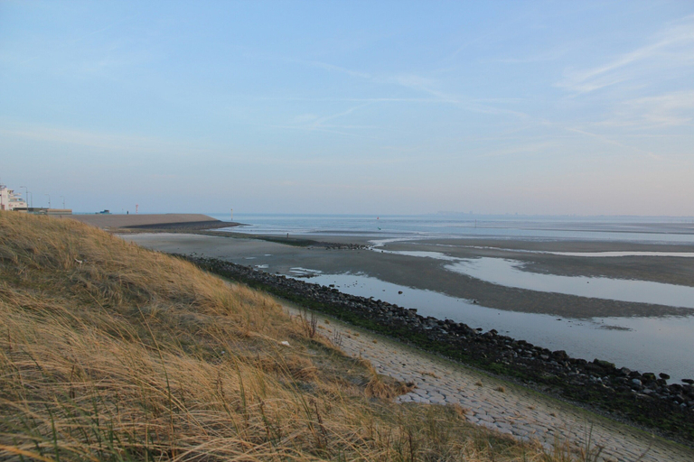 Others 5, Luxury Villa in Texel, Texel