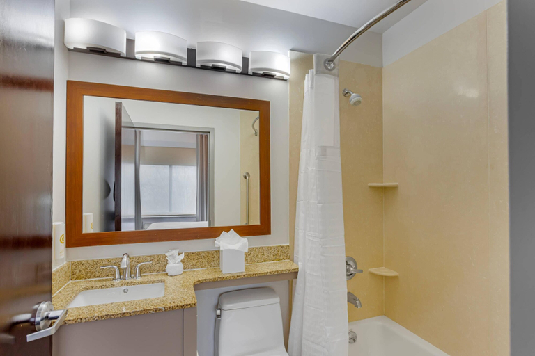 Bathroom 4, Comfort Inn Staten Island, New York