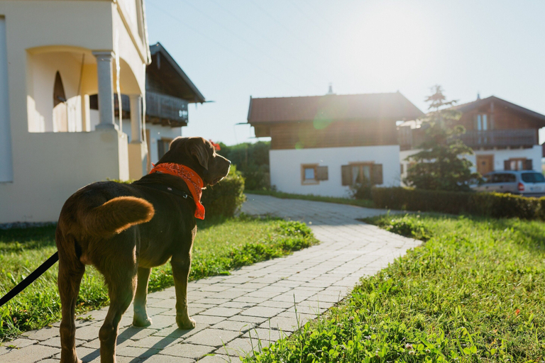 Exterior & Views 1, Vital CAMP Bayerbach, Rottal-Inn