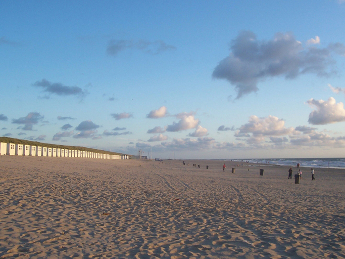 View from property 2, Lovely villa on the edge of the forest, Texel