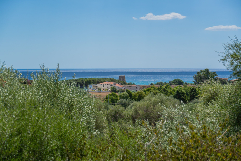 Beach 3, Hotel with swimming pool in Bari Sardo, Ogliastra