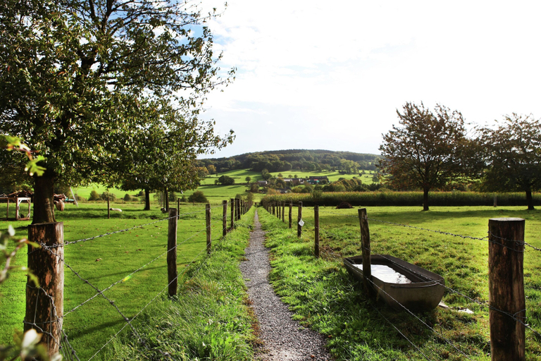 View from property 5, Holiday Home in Epen With Garden & BBQ, Gulpen-Wittem
