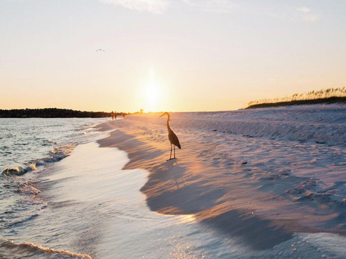 Others 2, The Osprey #8 by Southern Vacation Rentals, Baldwin