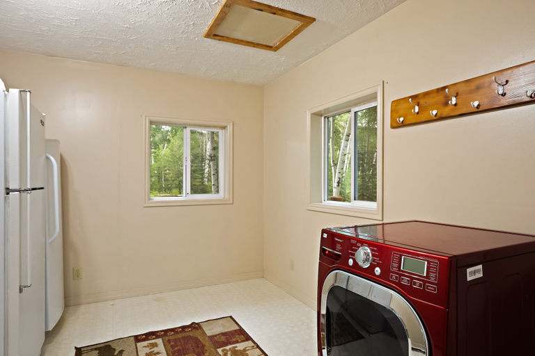 Interior 4, Moose Drool, Fremont