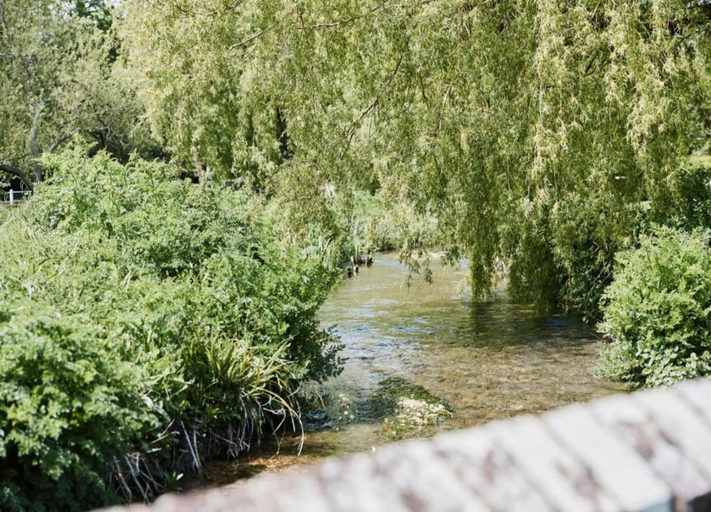 View from property 4, Lodge in Soberton Near South Downs Riding, Hampshire