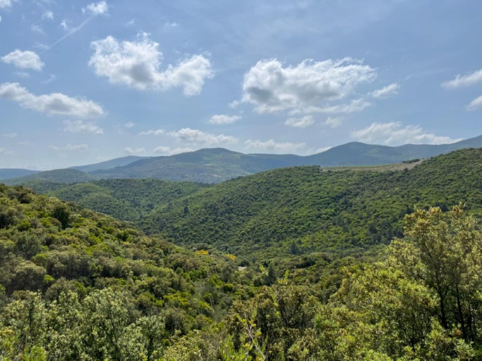 View from property 5, La Rocaille, House for 6 With Swimming Pool, Hérault