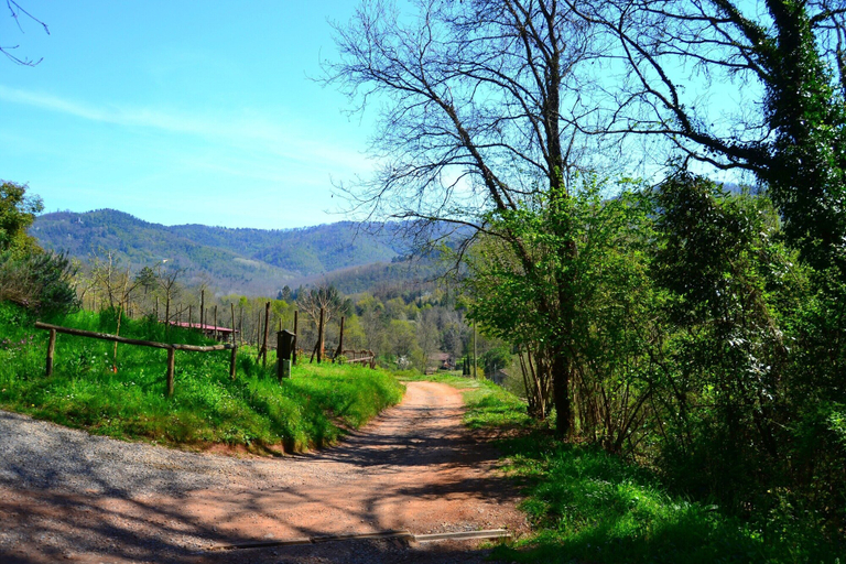 Others 3, Dreamy Cottage in Trebbio With Swimming Pool, Lucca