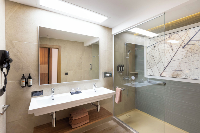 Bathroom 5, Hotel Riu Ventura - All Inclusive, Benito Juárez