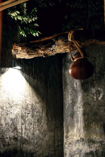 Interior detail 5, Gal Oya Heritage Retreat, Madulla