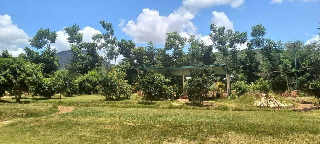 Garden 4, Casa Kalimbini Resort, Kilome
