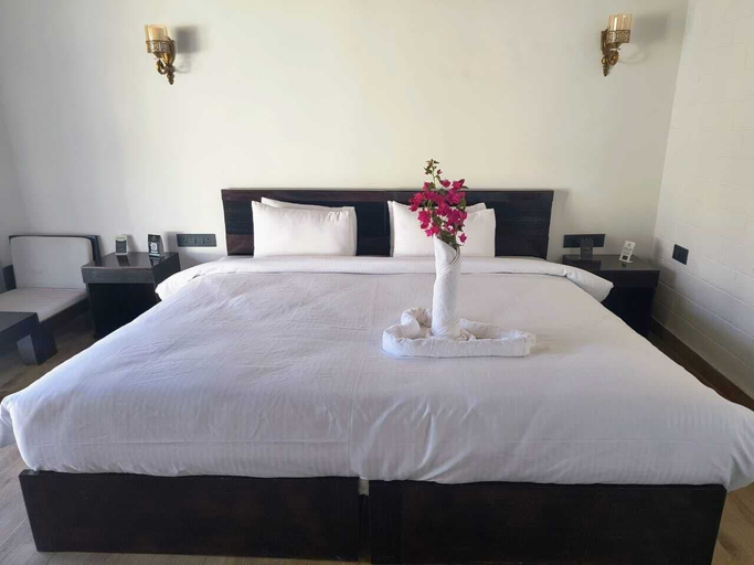Room 2, THE RiYASAT SARISKA, Alwar