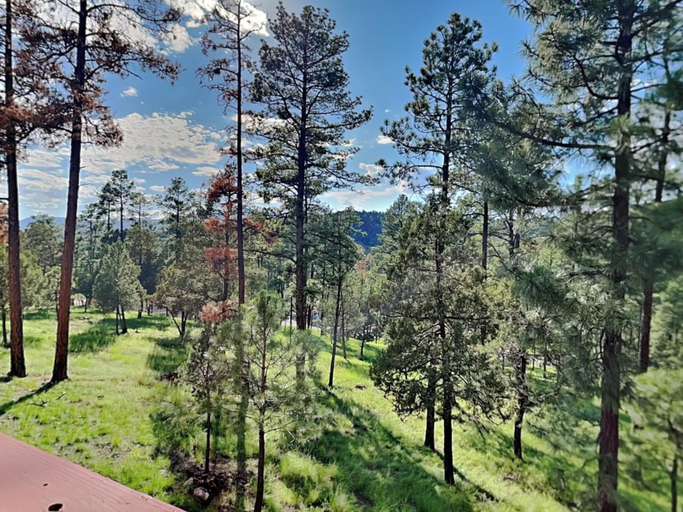 Property amenity 5, Sierra Silver by Ruidoso Vacation Rentals, Lincoln