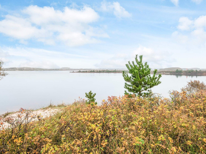 Others 4, 6 Person Holiday Home in Oksbol, Varde