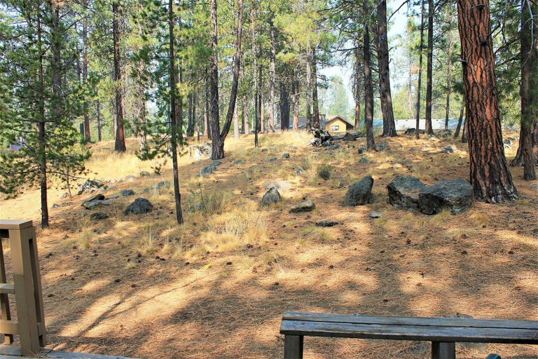 Interior 4, Cluster Cabin 13, Deschutes