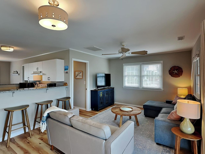 Others 4, The Sassy Sea Turtle by Topsail Realty, Pender