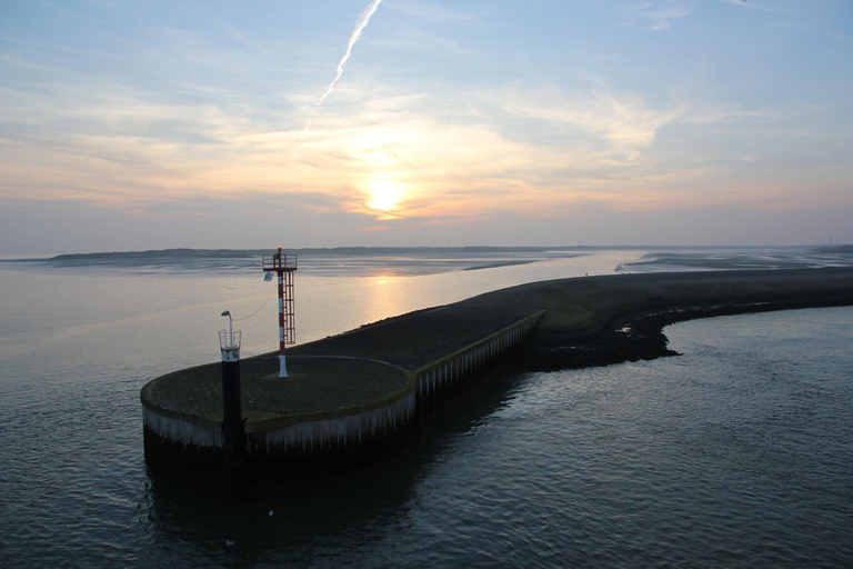 View from property 3, Lovely Villa on the Edge of the Forest, Texel