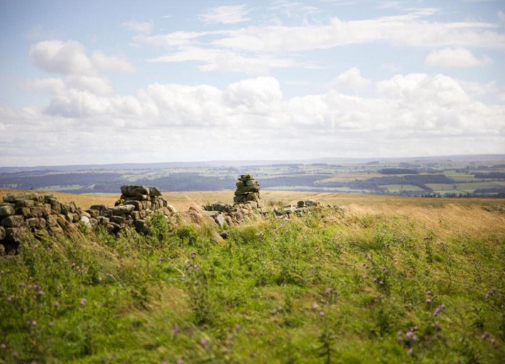 View from property 3, Mobility-friendly Cabin in Hexham, Northumberland