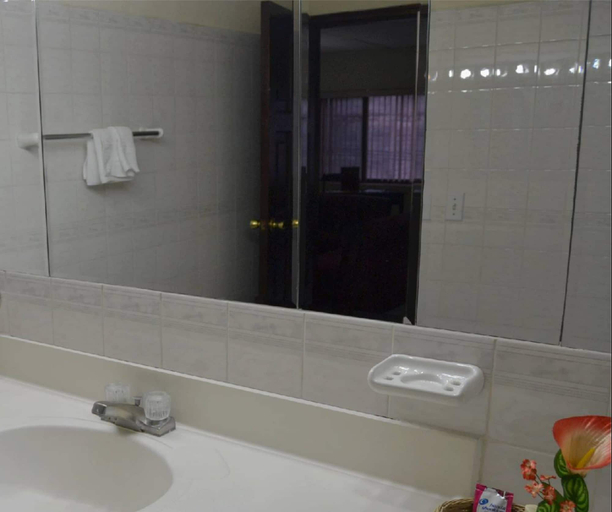 Bathroom 4, Hotel Excelsior, Distrito Central