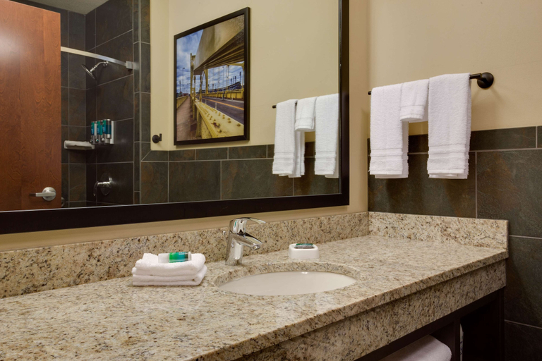 Bathroom 5, Drury Plaza Hotel Pittsburgh Downtown, Allegheny