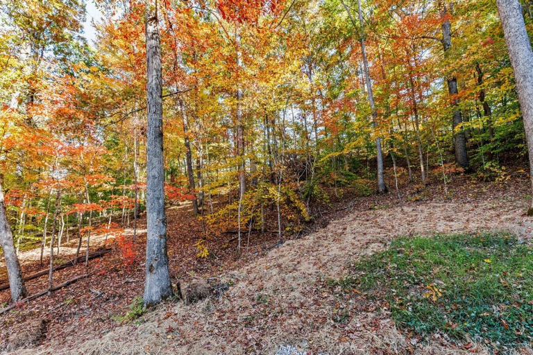 Interior 4, Throw'n Shade at the Red - Near Rrg, KY!, Powell
