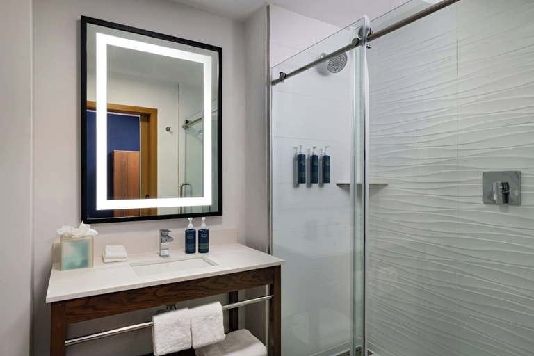 Bathroom, Four Points BY Sheraton Austin Airport, Travis