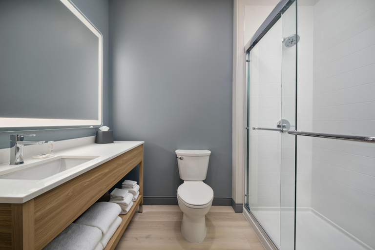 Bathroom 5, Hyatt Studios Huntsville, Madison