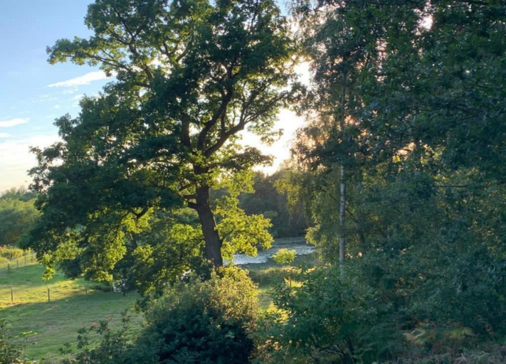 View from property 3, Luxury Bell Tent Escape Norfolk, No Deposit, Norfolk