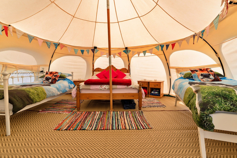 Room 2, Bell Tent in North Devon, No Deposit, Devon