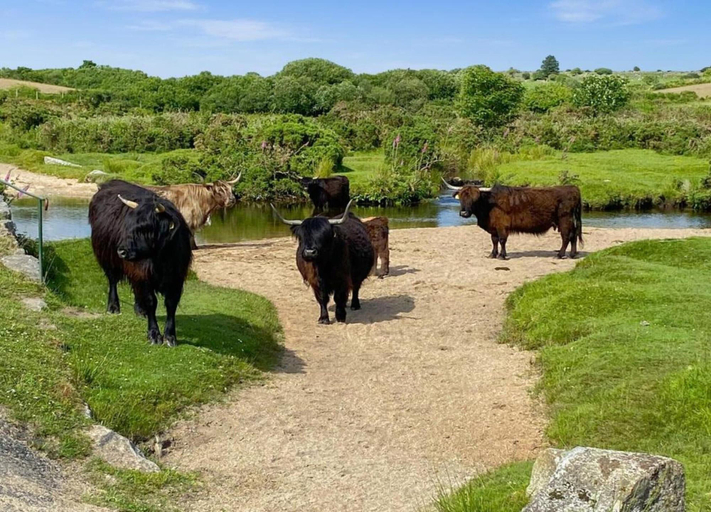 View from property 5, Cottage in Cornwall Near Bodmin Moor, Cornwall
