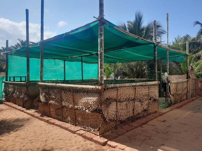Others 5, Raapan Beach Resort, Sindhudurg