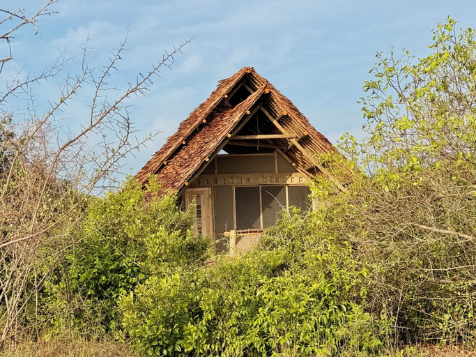 Exterior 2, Saadani Beach Camp, Bagamoyo
