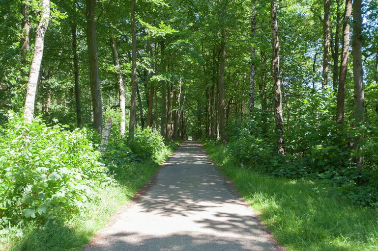 Others 3, Superb Villa in the Woods of Gaasterland With Wifi and Fireplace, Gaasterlân-Sleat