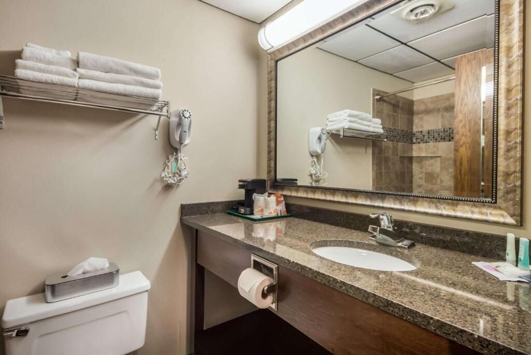 Bathroom 4, Quality Inn & Suites Newberry, Luce