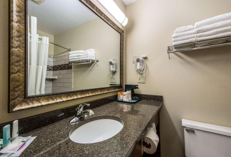 Bathroom 5, Quality Inn & Suites Newberry, Luce