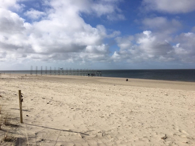 Others 3, Pet-friendly Texel Escape, Texel