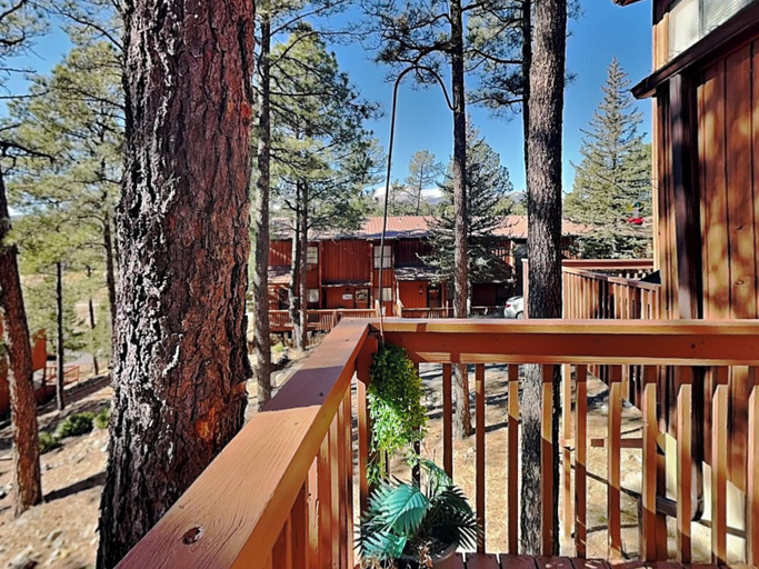 Property amenity 2, Whispering Bluff #402, Lincoln