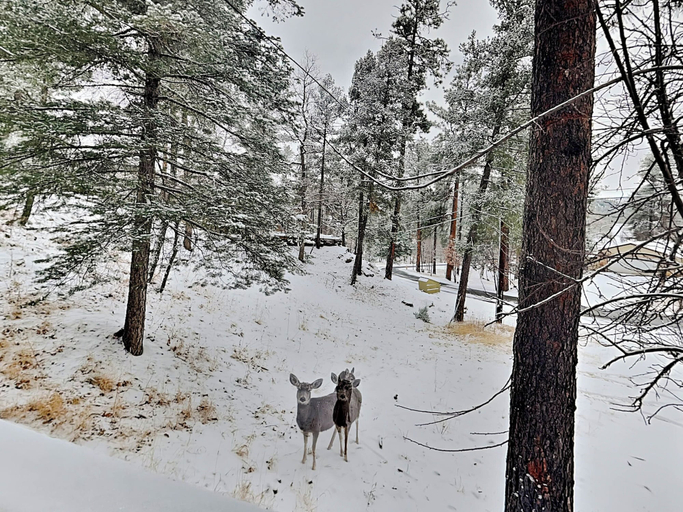 Others 5, Doc's Den by Ruidoso Vacation Rentals, Lincoln