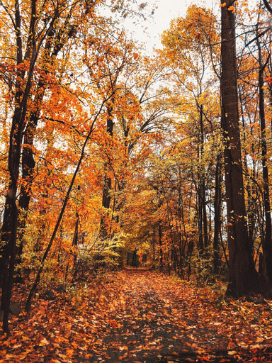 Hiking, Hideaway Inn Lenox, Berkshire