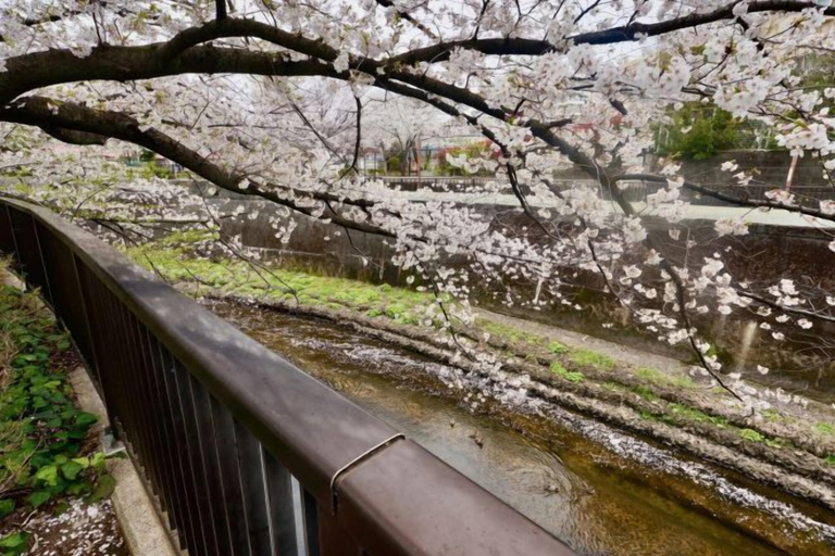 View from property, Takinoen Standalone House for 7 12 mins Train to Ueno, Kita
