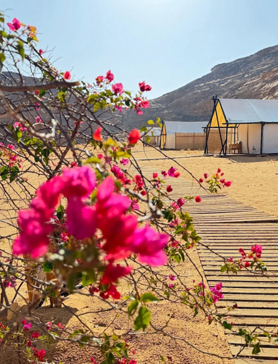 Miscellaneous 3, 26 North Al Ula by Prime Hotels