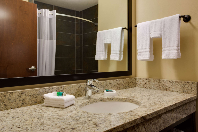 Bathroom 5, Drury Plaza Hotel Pittsburgh Downtown, Allegheny