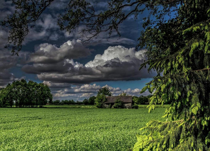 View from property 4, Farmhouse in Geesteren Near Golf Course, Borculo