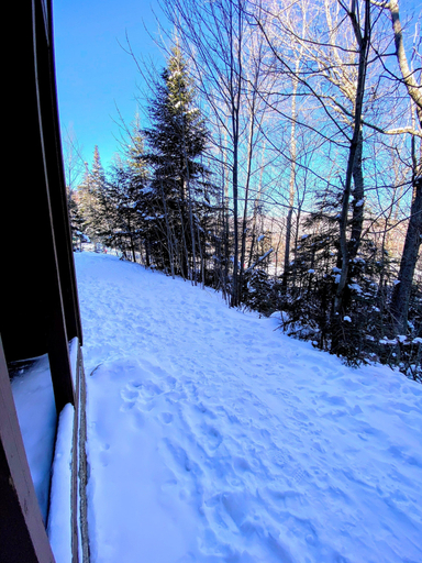 Interior 2, RB8 Luxury Bretton Woods Ski-in, Coos
