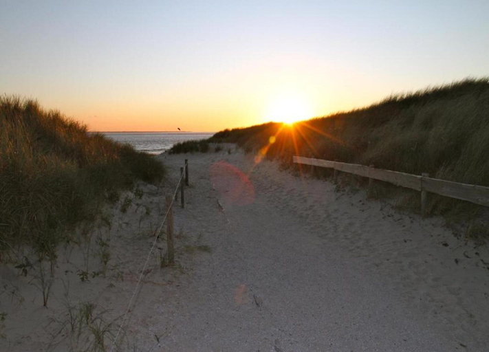 View from property 5, Nice Chalet in Hollum Near Dunes, Ameland