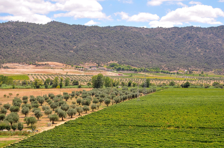 View from property 5, Cozy Cottage with Swimming Pool, Vila Flor