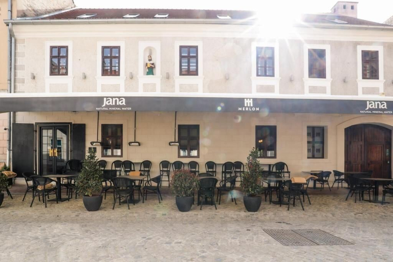 Exterior & Views 2, Sobe Merlon, Osijek