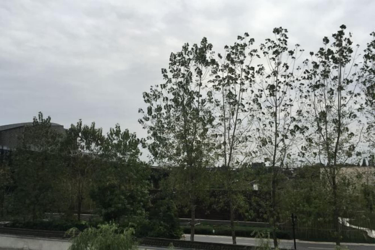 Others 5, The 2 90's Guys Inn, Jiaxing